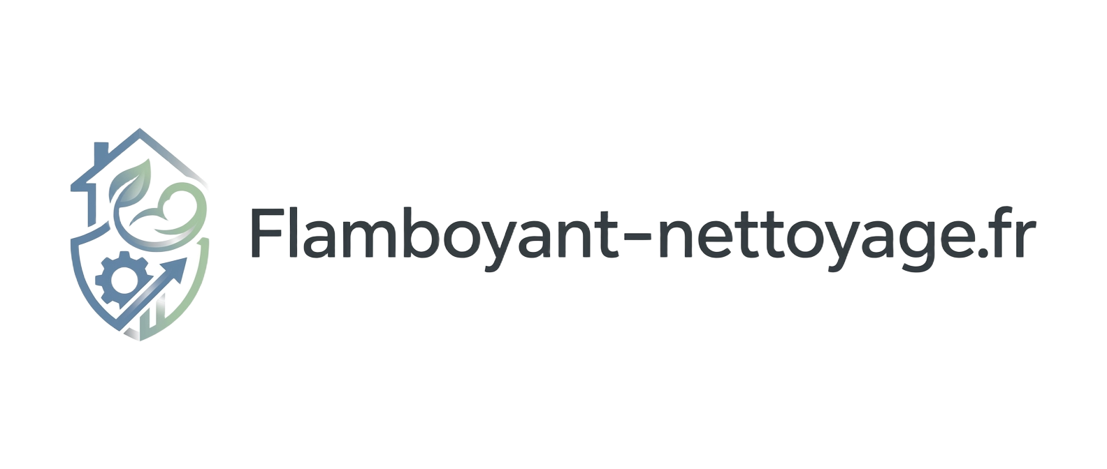 Flamboyant-nettoyage.fr